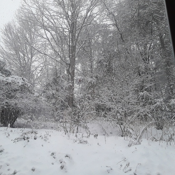 Meet your Posher, Pamela - Picture 1 of 1